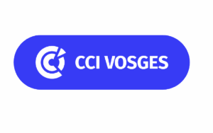 Plan de travail 1CCI Vosges 600 par 1200