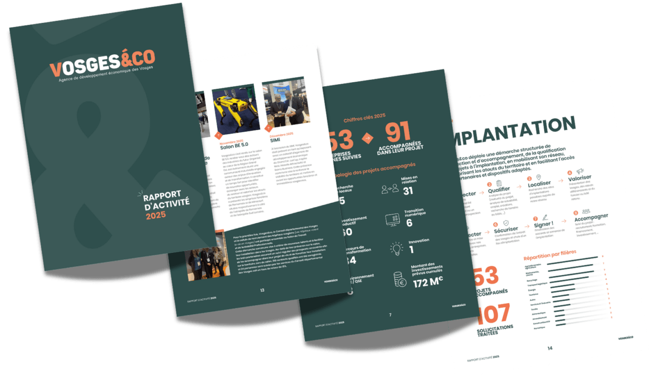 rapport activité vosges&co visuel des pages