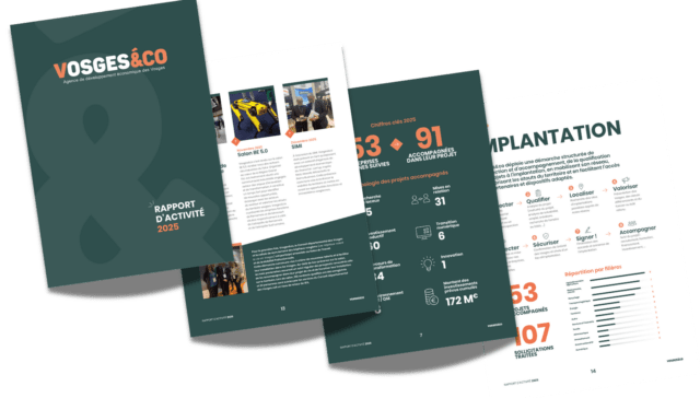 rapport activité vosges&co visuel des pages